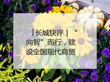 长城快评｜“向智”而行，建设全国现代商贸物流重要基地