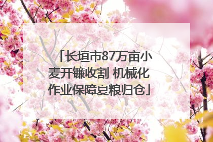 长垣市87万亩小麦开镰收割 机械化作业保障夏粮归仓