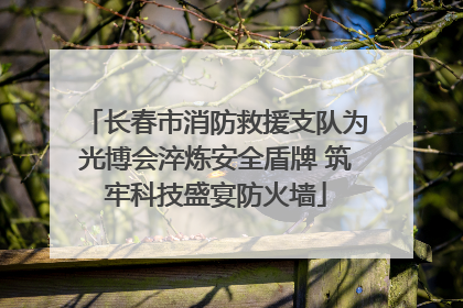 长春市消防救援支队为光博会淬炼安全盾牌 筑牢科技盛宴防火墙