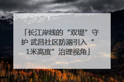 长江岸线的“双堤”守护 武昌社区防溺引入“1米高度”治理视角
