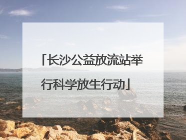 长沙公益放流站举行科学放生行动
