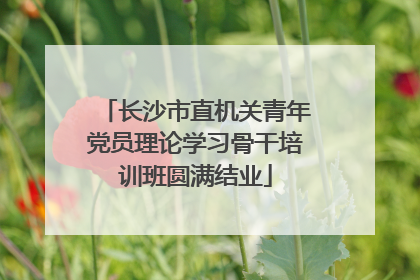 长沙市直机关青年党员理论学习骨干培训班圆满结业