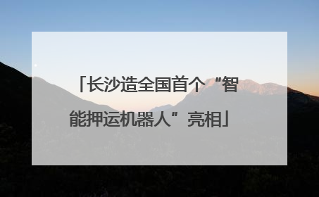 长沙造全国首个“智能押运机器人”亮相