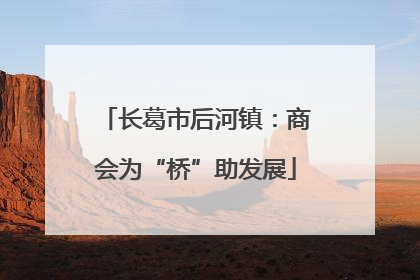 长葛市后河镇：商会为“桥”助发展