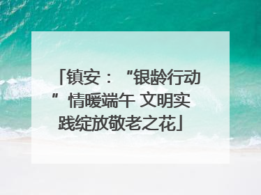镇安：“银龄行动”情暖端午 文明实践绽放敬老之花