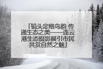 镜头定格鸟韵 传递生态之美——连云港生态摄影展引市民共赏自然之魅