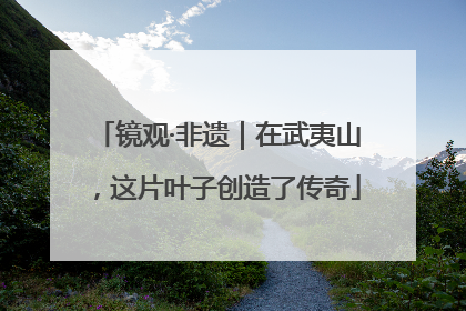 镜观·非遗｜在武夷山，这片叶子创造了传奇
