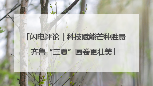 闪电评论｜科技赋能芒种胜景 齐鲁“三夏”画卷更壮美