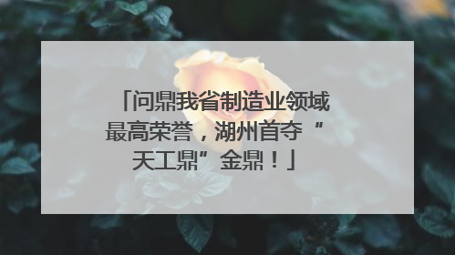 问鼎我省制造业领域最高荣誉，湖州首夺“天工鼎”金鼎！