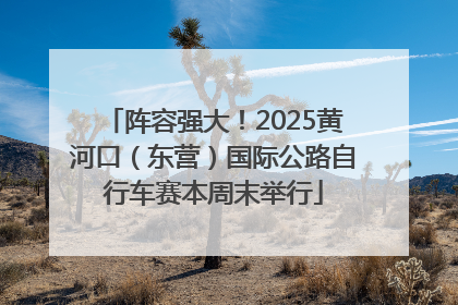 阵容强大！2025黄河口（东营）国际公路自行车赛本周末举行