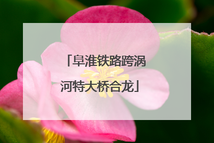 阜淮铁路跨涡河特大桥合龙