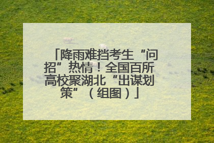 降雨难挡考生“问招”热情！全国百所高校聚湖北“出谋划策”（组图）