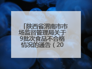 陕西省渭南市市场监督管理局关于9批次食品不合格情况的通告（2025年第9期）