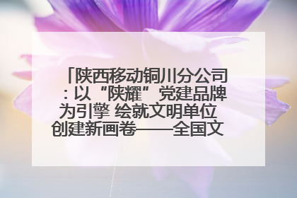 陕西移动铜川分公司：以“陕耀”党建品牌为引擎 绘就文明单位创建新画卷——全国文明单位创建纪实