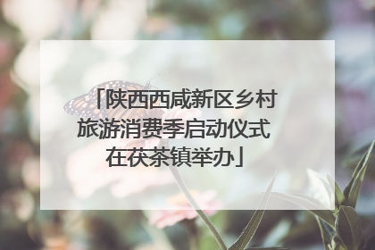 陕西西咸新区乡村旅游消费季启动仪式在茯茶镇举办