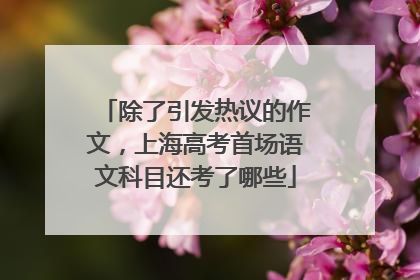 除了引发热议的作文，上海高考首场语文科目还考了哪些