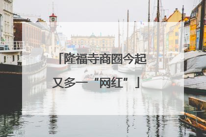 隆福寺商圈今起又多一“网红”