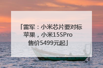 雷军：小米芯片要对标苹果，小米15SPro售价5499元起