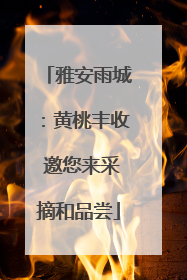 雅安雨城：黄桃丰收 邀您来采摘和品尝