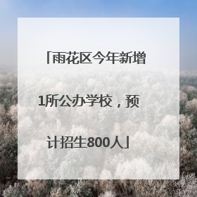 雨花区今年新增1所公办学校，预计招生800人