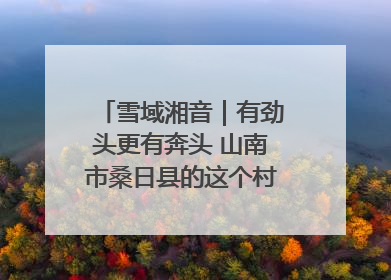 雪域湘音｜有劲头更有奔头 山南市桑日县的这个村落迎来蜕变