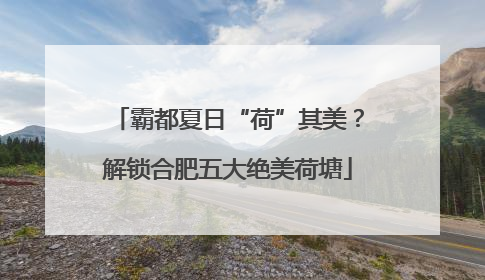 霸都夏日“荷”其美？解锁合肥五大绝美荷塘