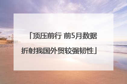 顶压前行 前5月数据折射我国外贸较强韧性