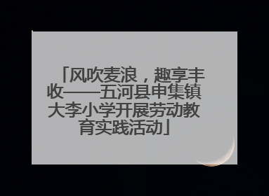 风吹麦浪，趣享丰收——五河县申集镇大李小学开展劳动教育实践活动
