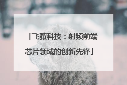 飞骧科技：射频前端芯片领域的创新先锋