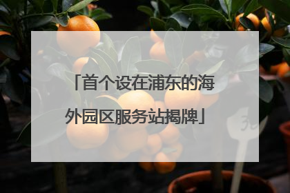 首个设在浦东的海外园区服务站揭牌