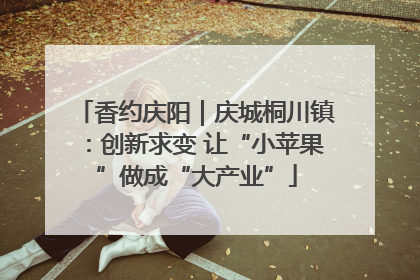 香约庆阳｜庆城桐川镇：创新求变 让“小苹果”做成“大产业”