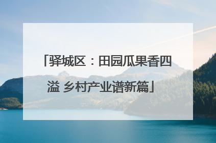 驿城区：田园瓜果香四溢 乡村产业谱新篇