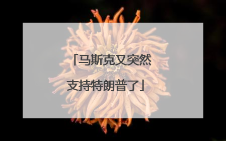 马斯克又突然支持特朗普了