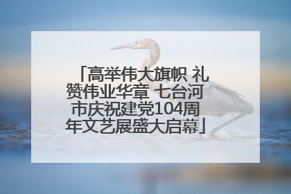 高举伟大旗帜 礼赞伟业华章 七台河市庆祝建党104周年文艺展盛大启幕