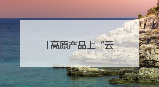 高原产品上“云”端——西藏电商发展一线观察