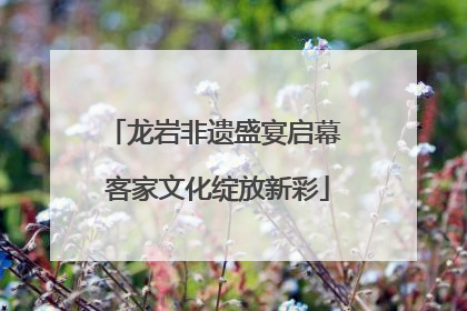 龙岩非遗盛宴启幕 客家文化绽放新彩