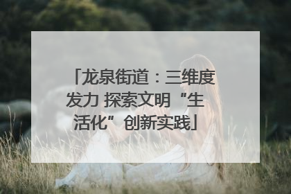 龙泉街道：三维度发力 探索文明“生活化”创新实践