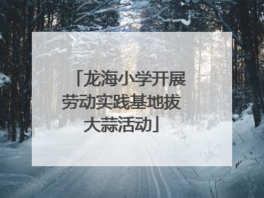龙海小学开展劳动实践基地拔大蒜活动