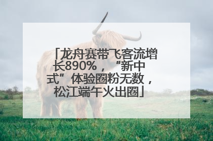 龙舟赛带飞客流增长890%，“新中式”体验圈粉无数，松江端午火出圈