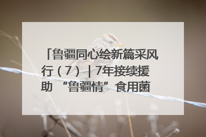鲁疆同心绘新篇采风行（7）｜7年接续援助 “鲁疆情”食用菌从1.0走向4.0
