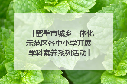鹤壁市城乡一体化示范区各中小学开展学科素养系列活动