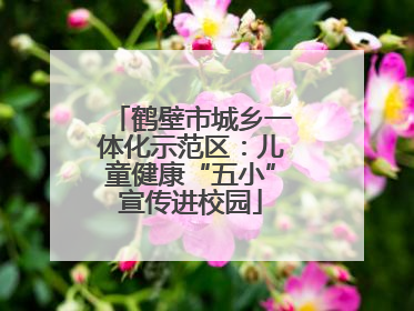 鹤壁市城乡一体化示范区：儿童健康“五小”宣传进校园
