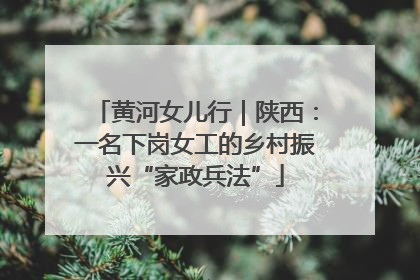 黄河女儿行｜陕西：一名下岗女工的乡村振兴“家政兵法”