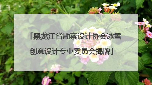 黑龙江省勘察设计协会冰雪创意设计专业委员会揭牌
