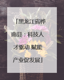 黑龙江省桦南县：科技人才驱动 赋能产业促发展