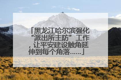 黑龙江哈尔滨强化“派出所主防”工作，让平安建设触角延伸到每个角落……