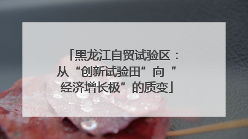 黑龙江自贸试验区：从“创新试验田”向“经济增长极”的质变