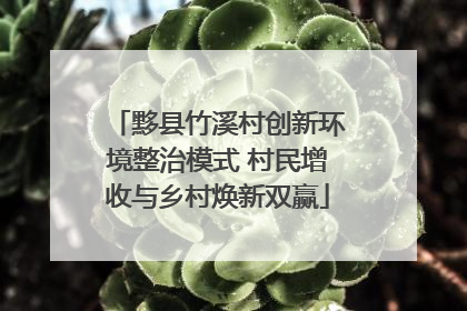 黟县竹溪村创新环境整治模式 村民增收与乡村焕新双赢