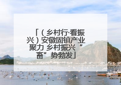 （乡村行·看振兴）安徽固镇产业聚力 乡村振兴“畜”势勃发