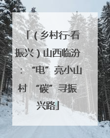 （乡村行·看振兴）山西临汾：“电”亮小山村 “碳”寻振兴路